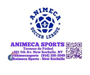 Animeca Sports